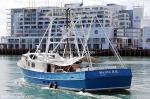 ID 12613 MARLIN H.Q. - allegedly a former prawn boat in South America, she was sailed across to NZ to become a mothership to support extended game fishing for the owners sport fisher. Seen here leaving...